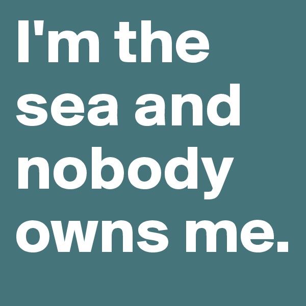 I'm the sea and nobody owns me. 