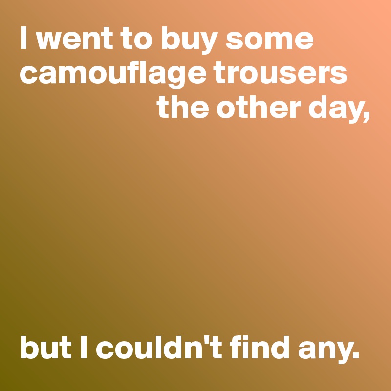 I went to buy some camouflage trousers 
                    the other day,






but I couldn't find any.