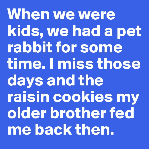 When we were kids, we had a pet rabbit for some time. I miss those days and the raisin cookies my older brother fed me back then.