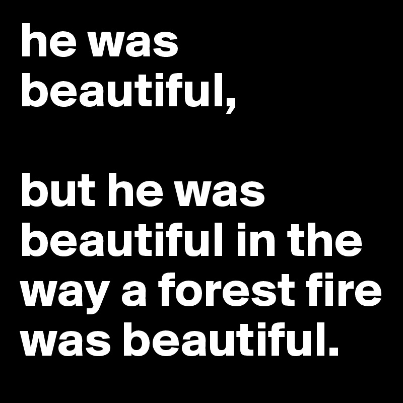he was beautiful,

but he was beautiful in the way a forest fire was beautiful.