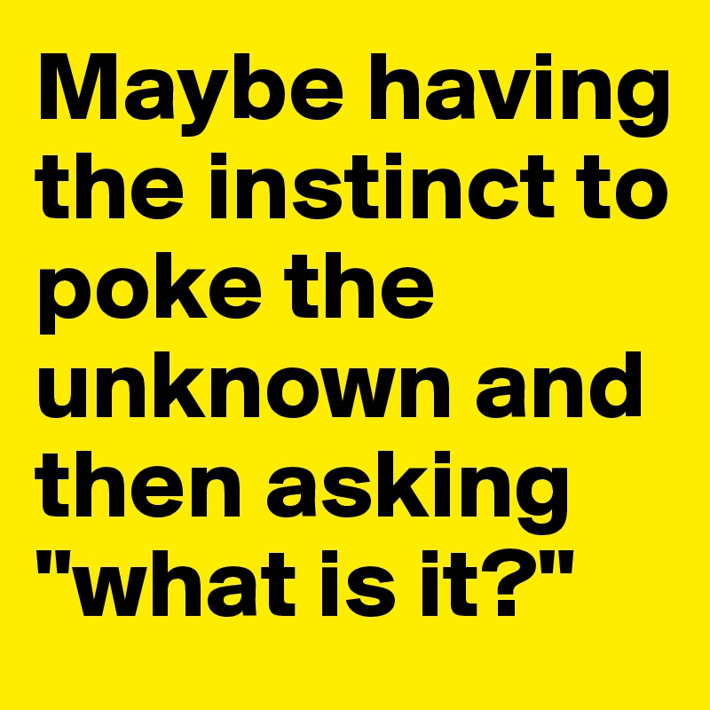 Maybe having the instinct to poke the unknown and then asking "what is it?"