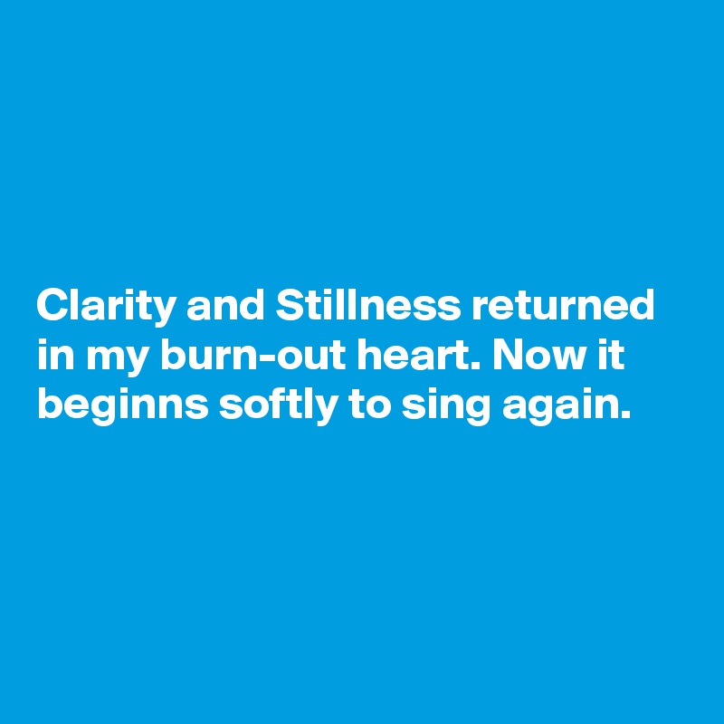 




Clarity and Stillness returned in my burn-out heart. Now it beginns softly to sing again.





