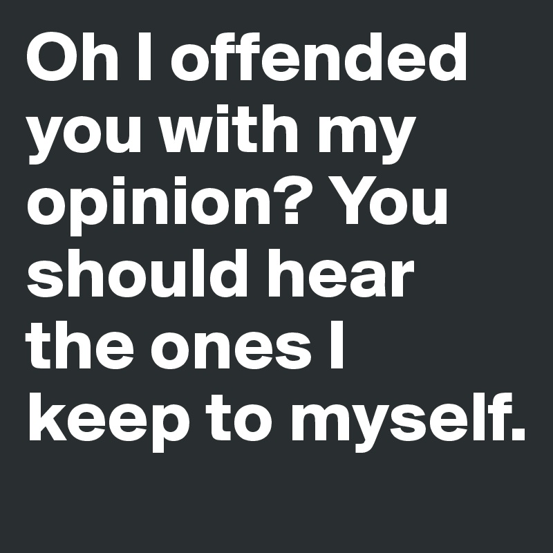 Oh I offended you with my opinion? You should hear the ones I keep to myself.