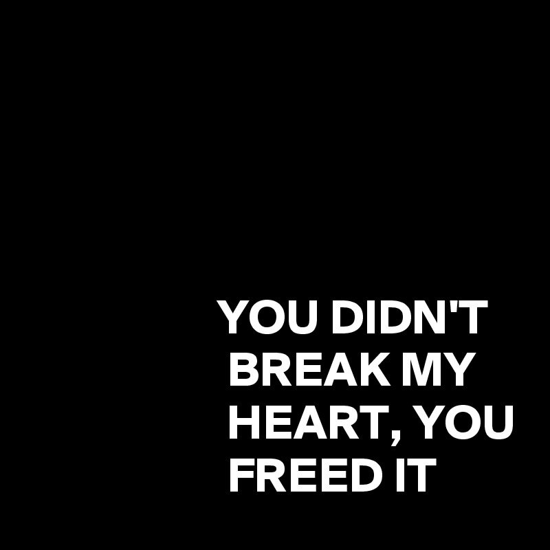 




                   YOU DIDN'T                       BREAK MY                        HEART, YOU                     FREED IT