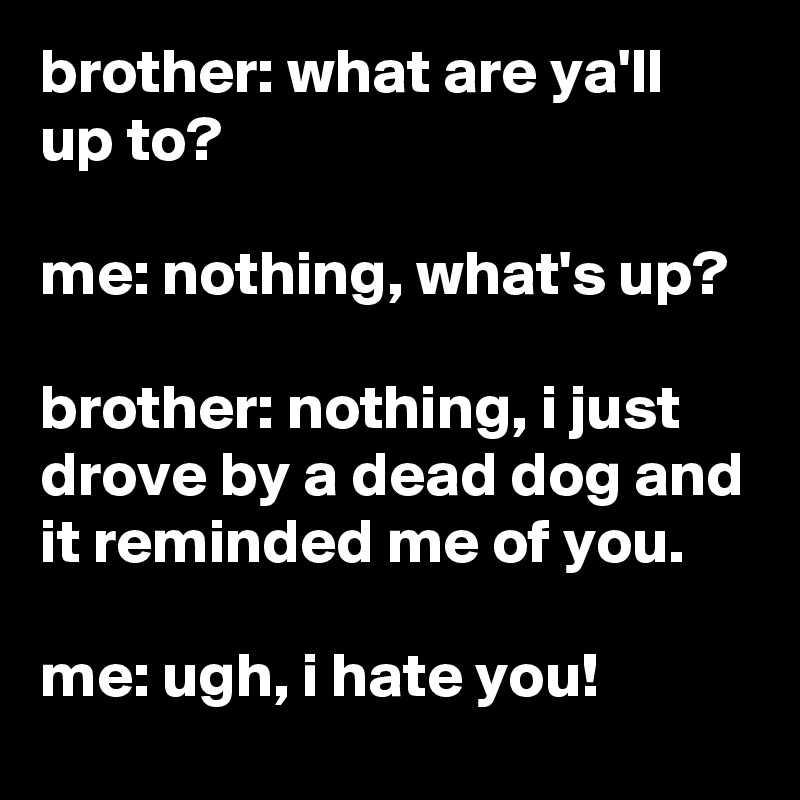 brother: what are ya'll up to?

me: nothing, what's up?

brother: nothing, i just drove by a dead dog and it reminded me of you.

me: ugh, i hate you!