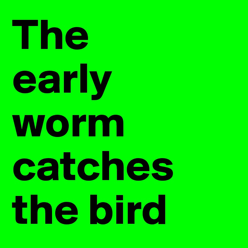 The 
early 
worm catches the bird
