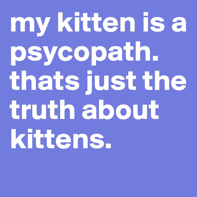 my kitten is a psycopath. thats just the truth about kittens. 