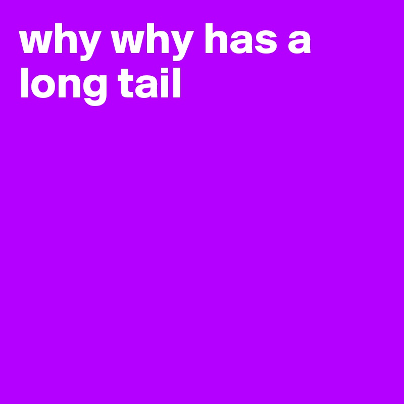 why why has a long tail






