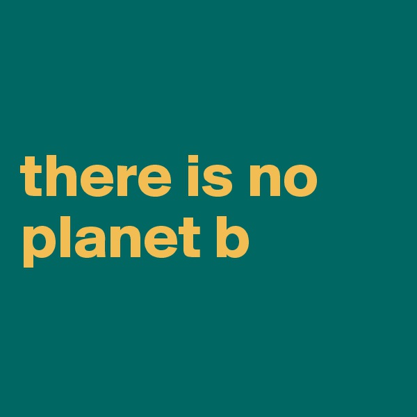 

there is no planet b


