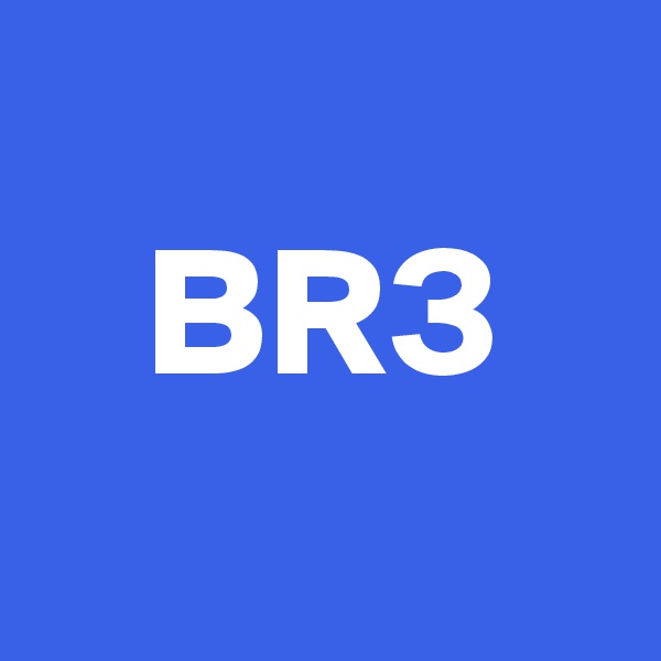 
   BR3
