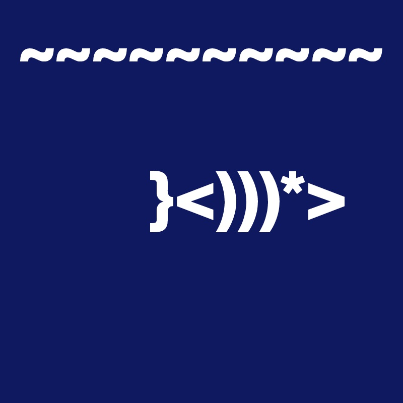 ~~~~~~~~~~

         }<)))*>
