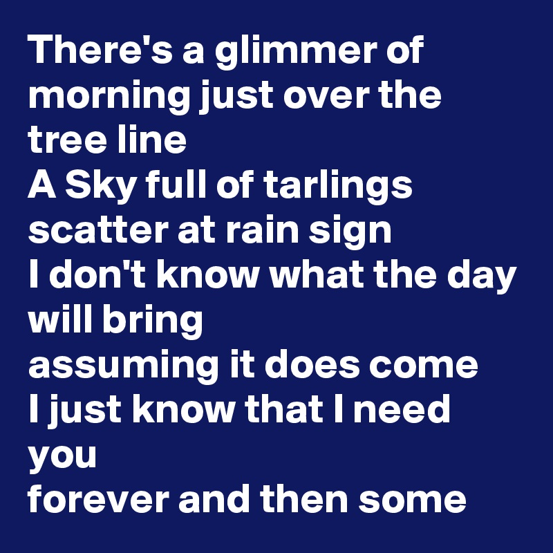 There's a glimmer of morning just over the tree line
A Sky full of tarlings scatter at rain sign
I don't know what the day will bring
assuming it does come
I just know that I need you
forever and then some
