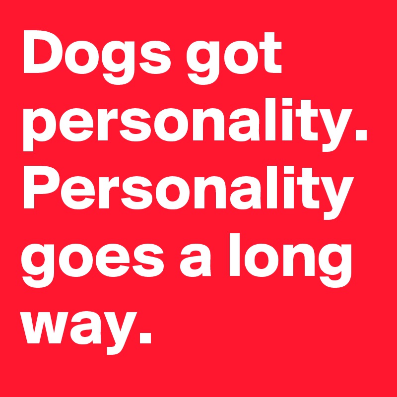 Dogs got personality. Personality goes a long way.