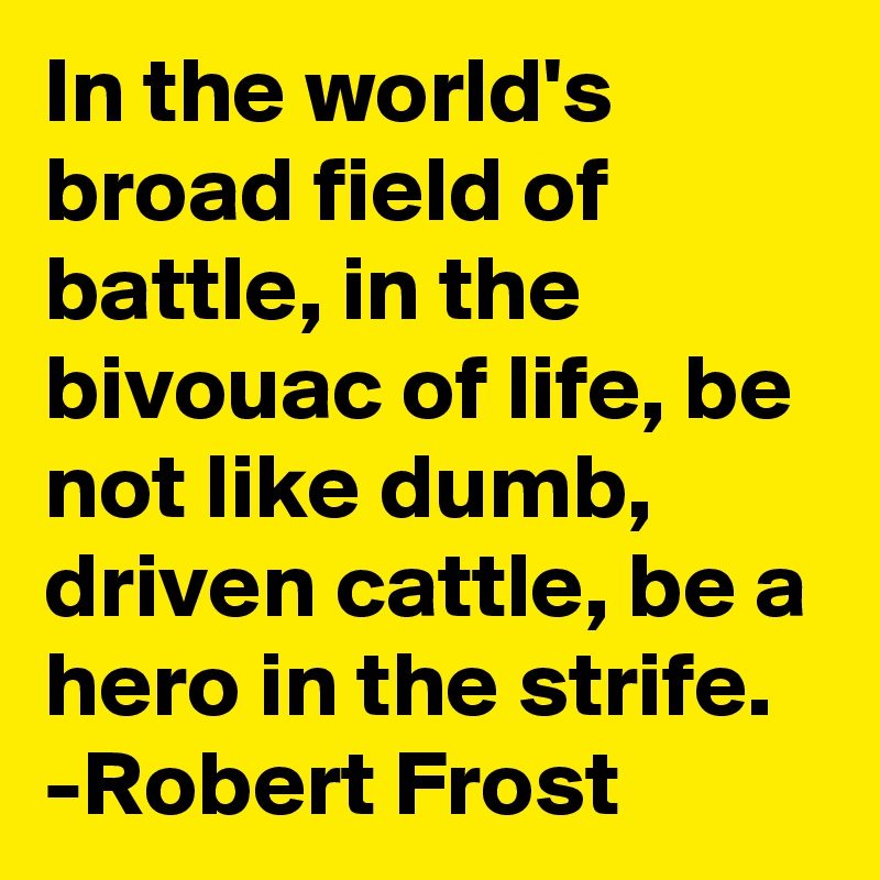 In the world's broad field of battle, in the bivouac of life, be not like dumb, driven cattle, be a hero in the strife.
-Robert Frost