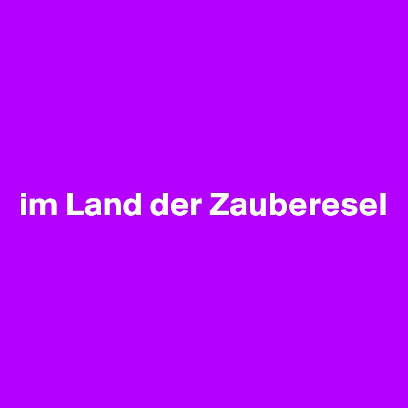 




im Land der Zauberesel



