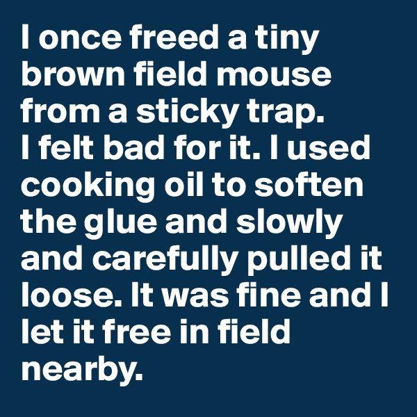 I once freed a tiny brown field mouse from a sticky trap. 
I felt bad for it. I used cooking oil to soften the glue and slowly and carefully pulled it loose. It was fine and I let it free in field nearby. 