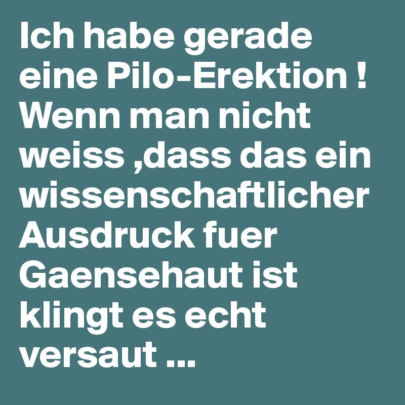 Ich habe gerade eine Pilo-Erektion !
Wenn man nicht weiss ,dass das ein wissenschaftlicher Ausdruck fuer Gaensehaut ist klingt es echt versaut ...