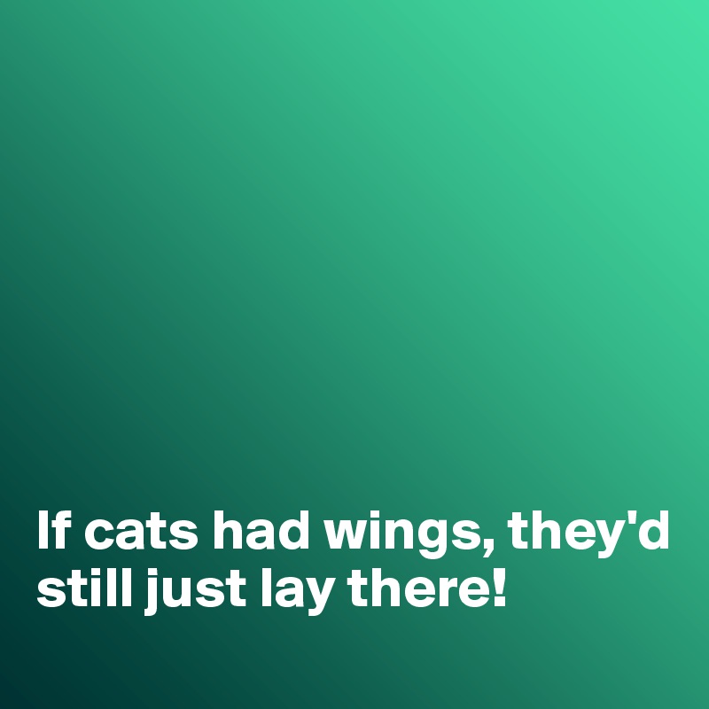 







If cats had wings, they'd still just lay there!