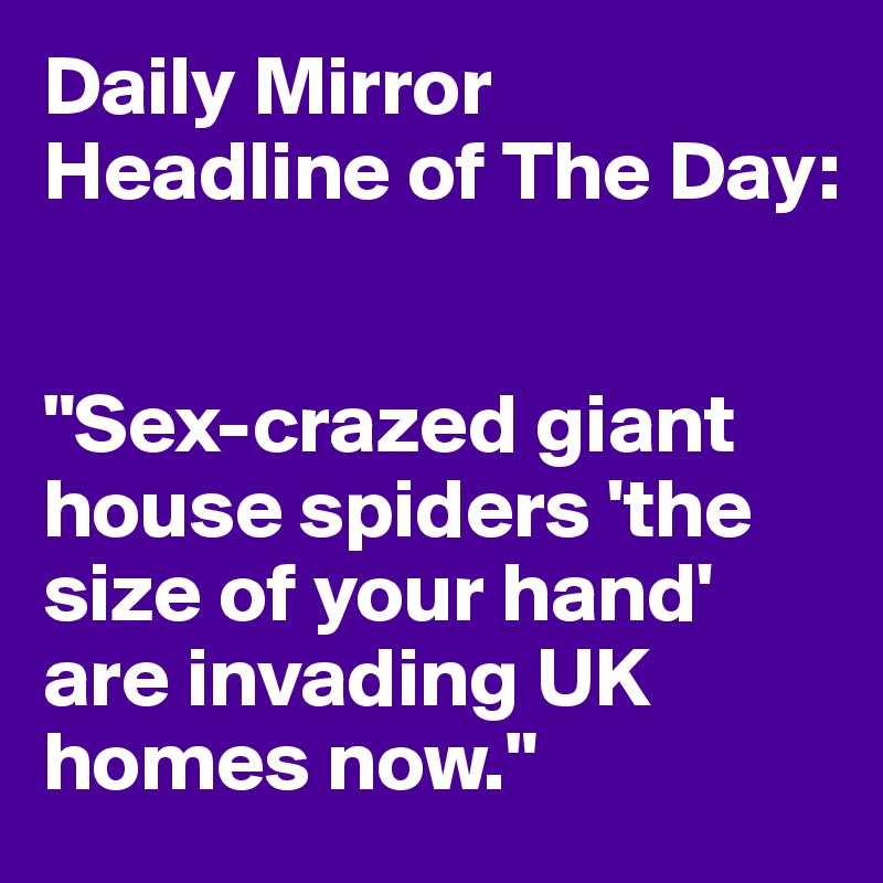 Daily Mirror Headline of The Day:


"Sex-crazed giant house spiders 'the size of your hand' are invading UK homes now."