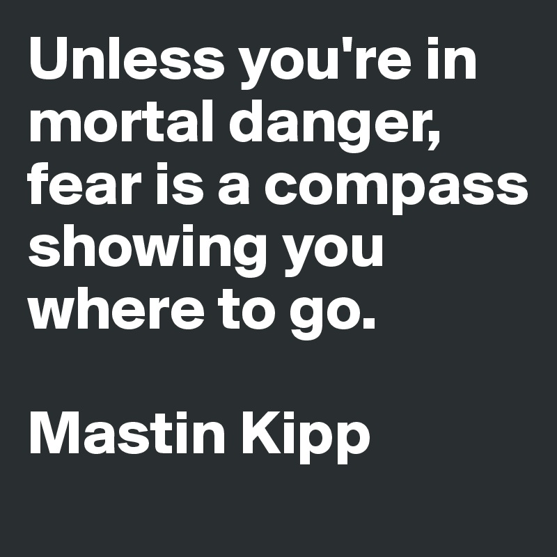 Unless you're in mortal danger, fear is a compass showing you where to go.

Mastin Kipp