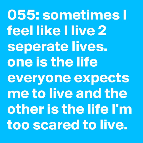 055: sometimes I feel like I live 2 seperate lives. one is the life everyone expects me to live and the other is the life I'm too scared to live. 