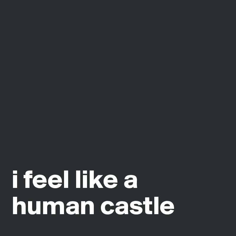 





i feel like a human castle