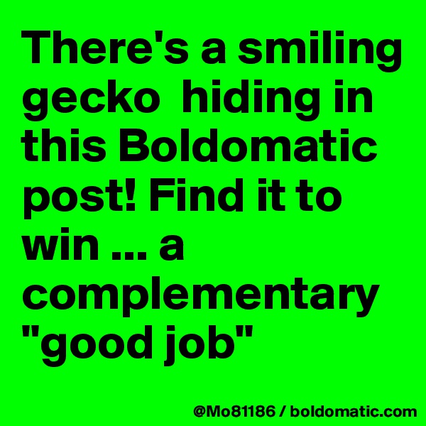 There's a smiling gecko  hiding in this Boldomatic post! Find it to win ... a complementary "good job"