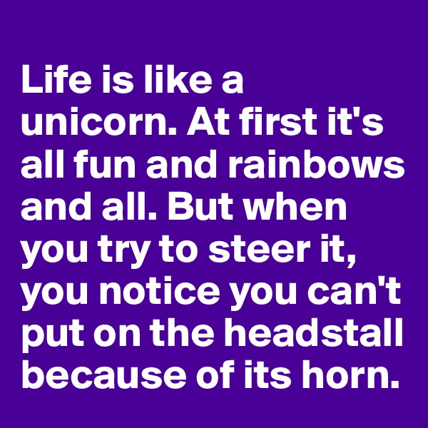 
Life is like a unicorn. At first it's all fun and rainbows and all. But when you try to steer it, you notice you can't put on the headstall because of its horn.
