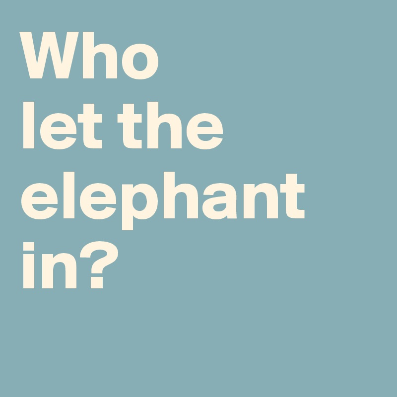 Who
let the
elephant in?

