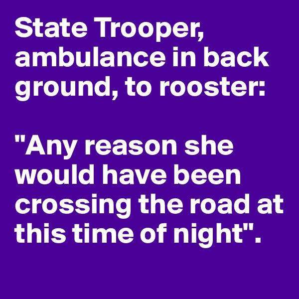 State Trooper, ambulance in back ground, to rooster:

"Any reason she would have been crossing the road at this time of night".