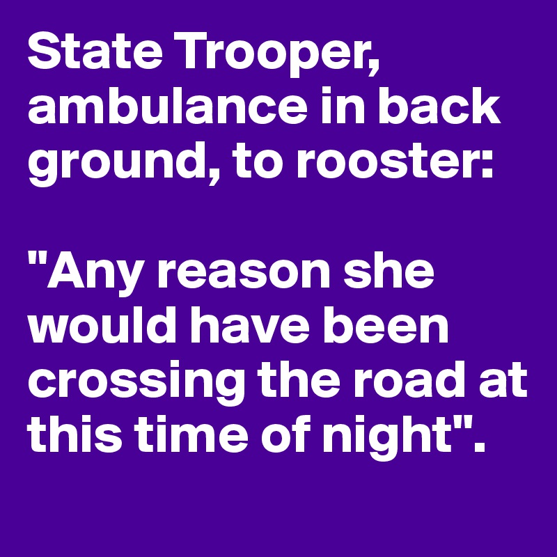 State Trooper, ambulance in back ground, to rooster:

"Any reason she would have been crossing the road at this time of night".