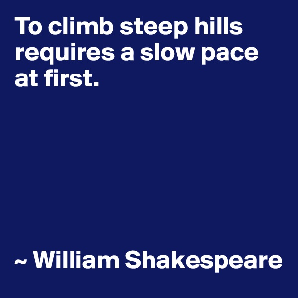 To climb steep hills requires a slow pace at first.






~ William Shakespeare