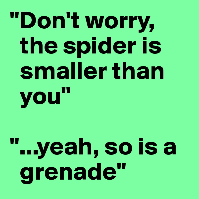 "Don't worry,
  the spider is
  smaller than
  you"

"...yeah, so is a
  grenade"