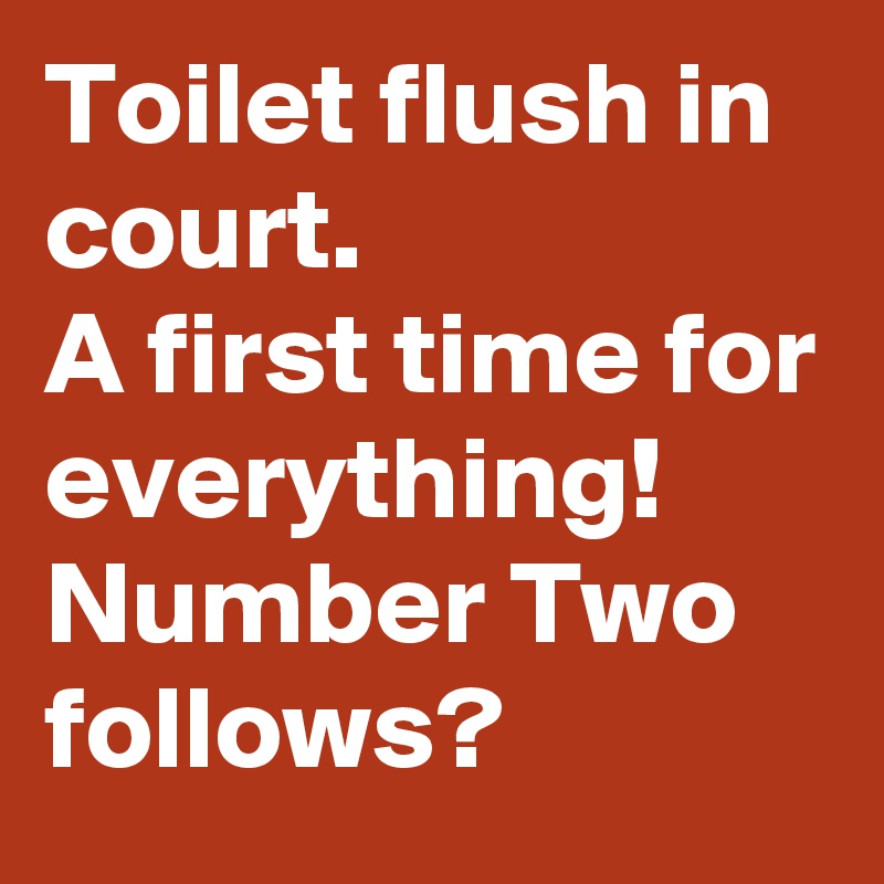 Toilet flush in court.
A first time for everything! 
Number Two follows?