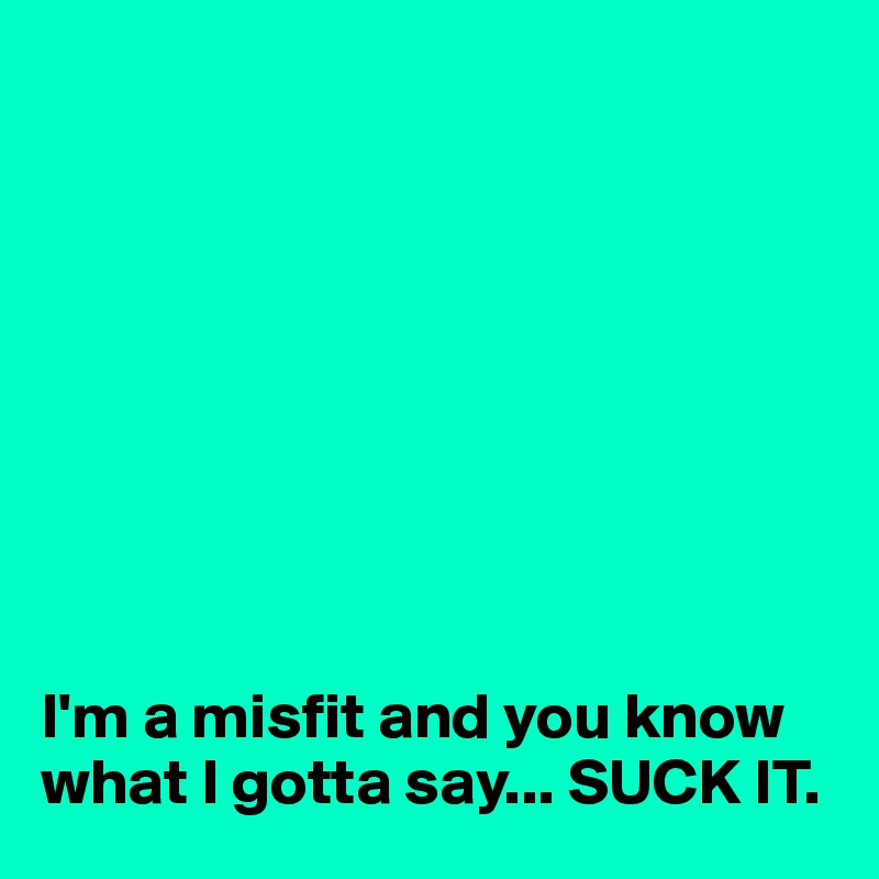 









I'm a misfit and you know what I gotta say... SUCK IT.