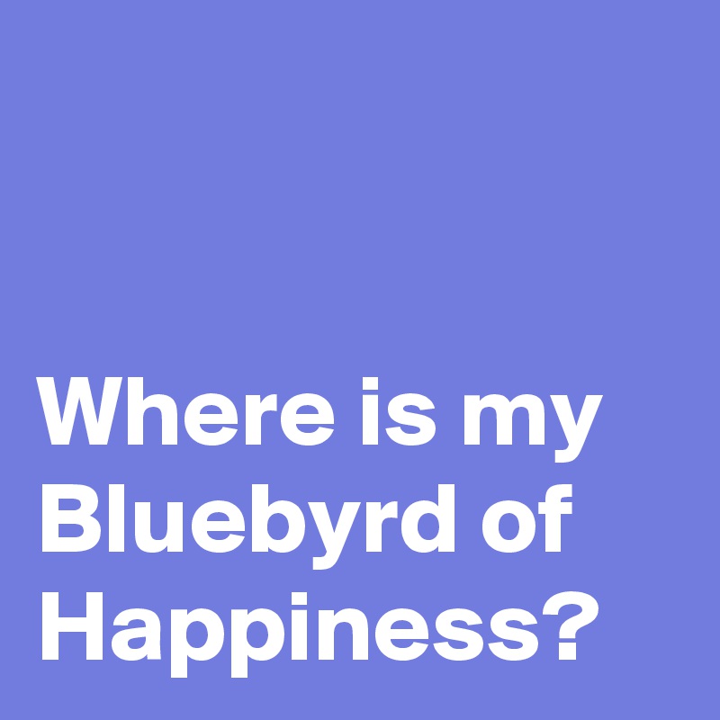 


Where is my Bluebyrd of Happiness?
