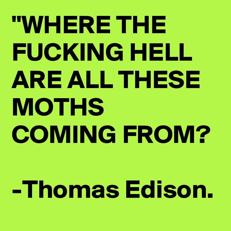"WHERE THE FUCKING HELL ARE ALL THESE MOTHS COMING FROM? 

-Thomas Edison.