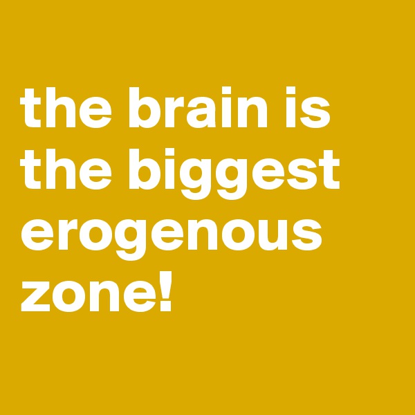 
the brain is the biggest erogenous zone! 
