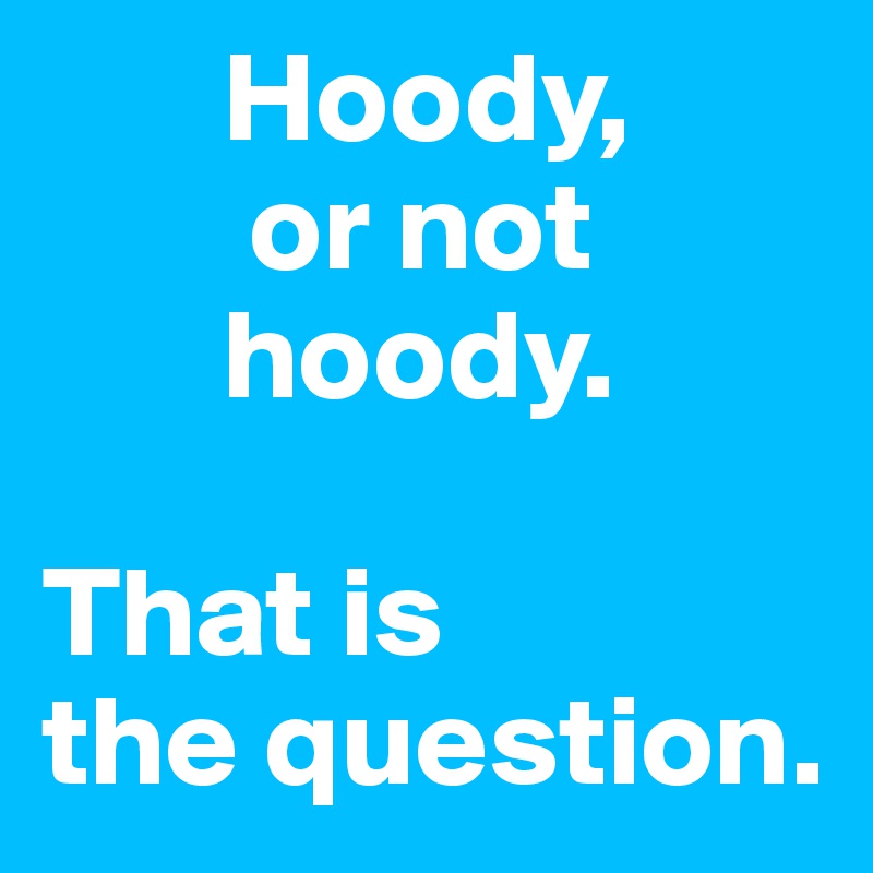        Hoody,
        or not
       hoody. 

That is
the question. 