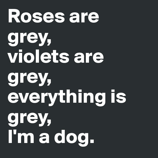 Roses are 
grey,
violets are grey, everything is grey,
I'm a dog. 