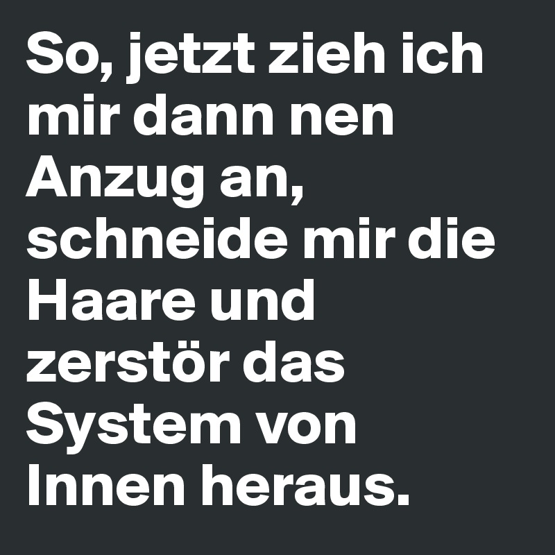 So, jetzt zieh ich mir dann nen Anzug an, schneide mir die Haare und zerstör das System von Innen heraus.