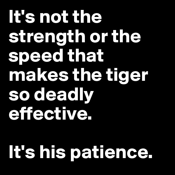 It's not the strength or the speed that makes the tiger so deadly effective.

It's his patience.