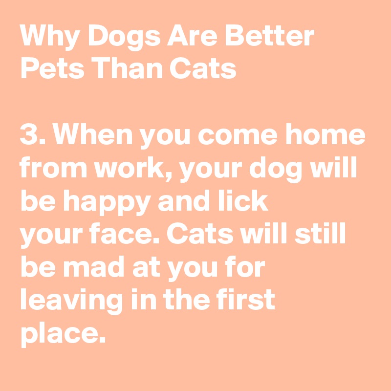 Why Dogs Are Better Pets Than Cats

3. When you come home from work, your dog will be happy and lick
your face. Cats will still be mad at you for leaving in the first place.