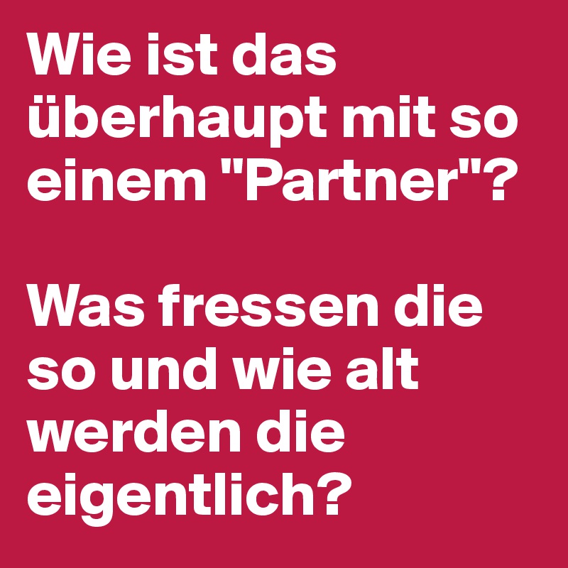 Wie ist das überhaupt mit so einem "Partner"?

Was fressen die so und wie alt werden die eigentlich?