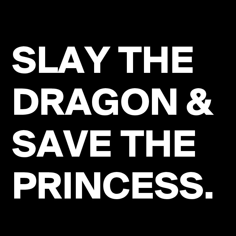 SLAY THE DRAGON & SAVE THE PRINCESS.