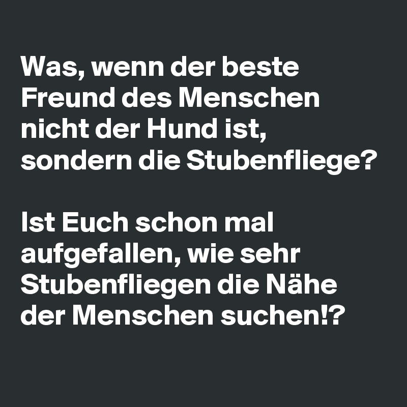 
Was, wenn der beste Freund des Menschen nicht der Hund ist, sondern die Stubenfliege?

Ist Euch schon mal aufgefallen, wie sehr Stubenfliegen die Nähe der Menschen suchen!?
 