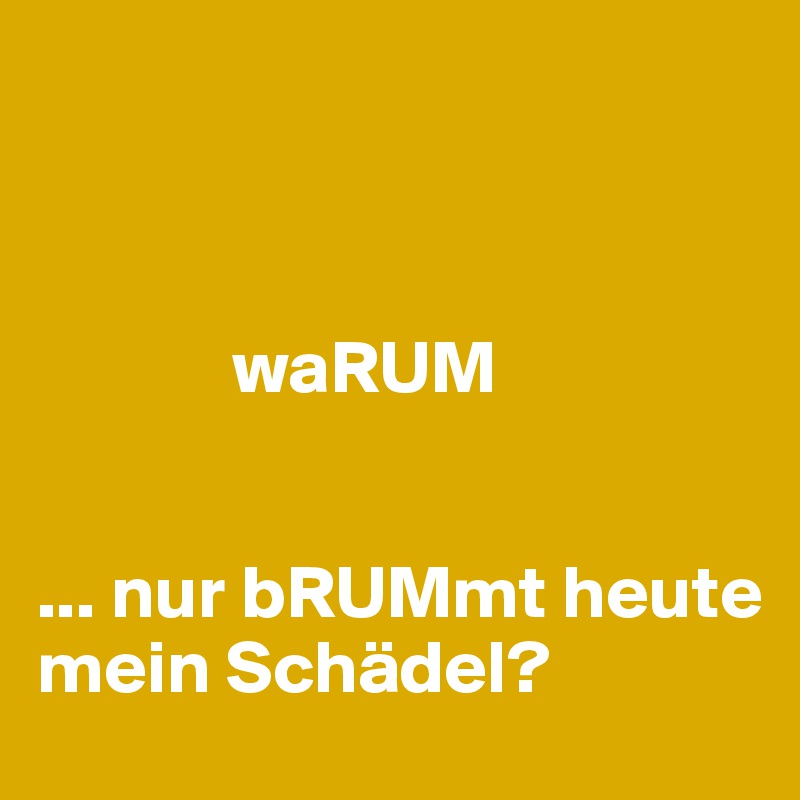 

          

             waRUM 


... nur bRUMmt heute mein Schädel?