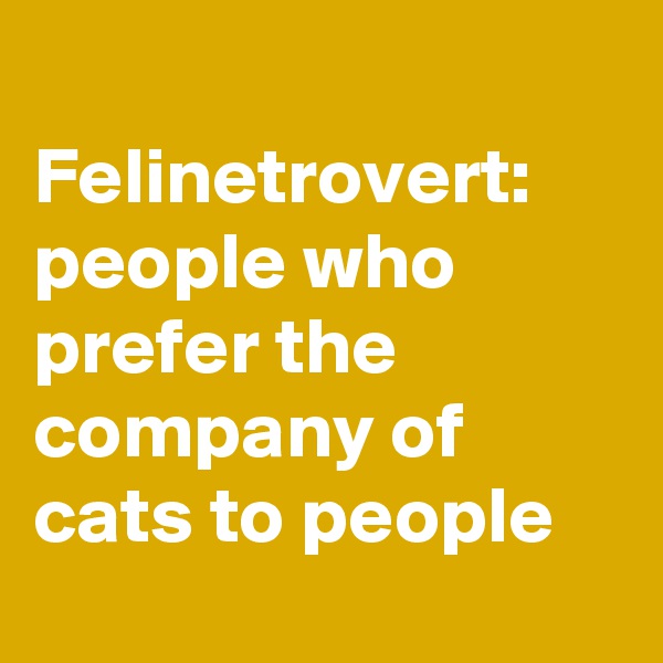 
Felinetrovert: people who prefer the company of cats to people

