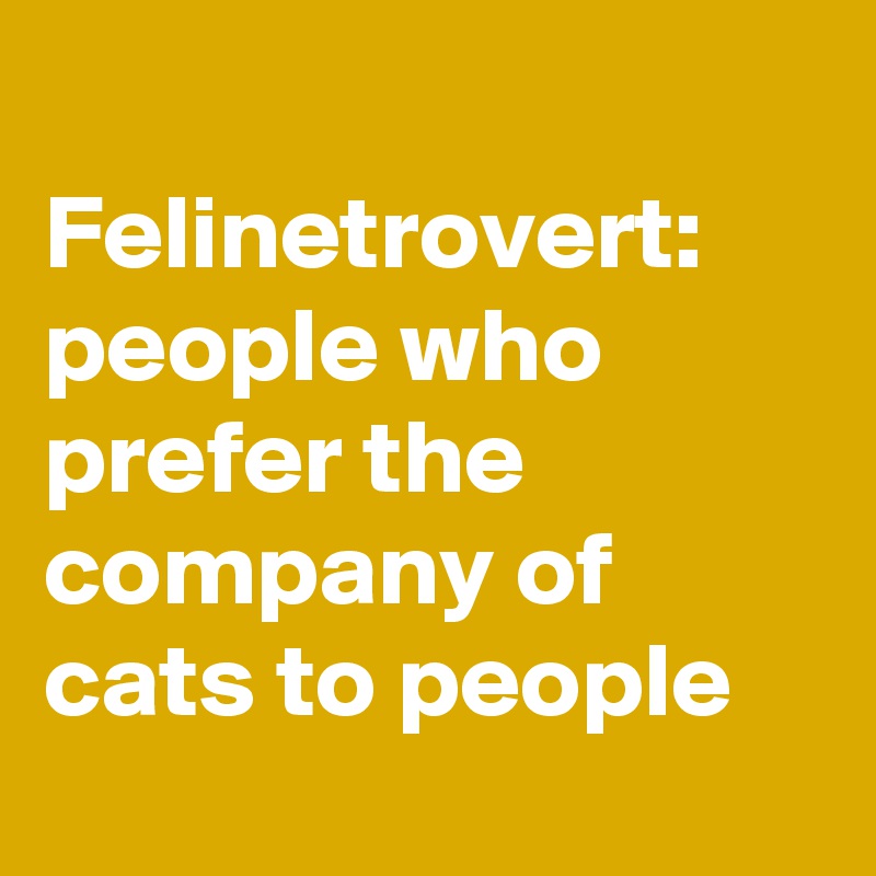 
Felinetrovert: people who prefer the company of cats to people
