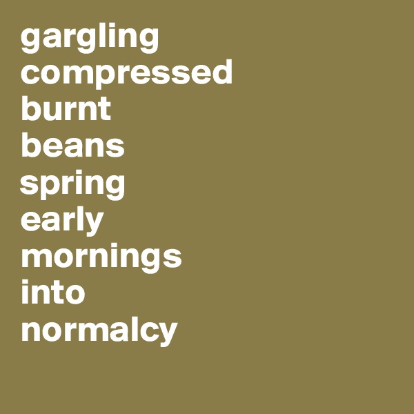 gargling
compressed
burnt
beans
spring
early
mornings
into
normalcy
